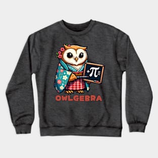 Pi day owl Crewneck Sweatshirt